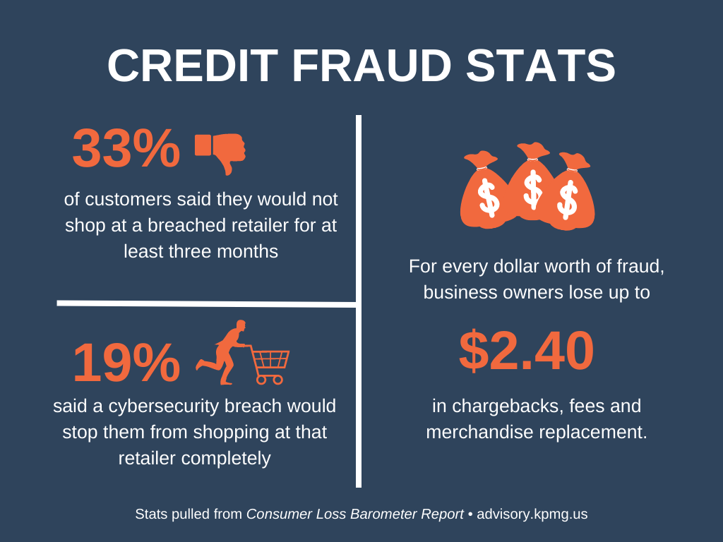 Credit fraud statistics - infographic
